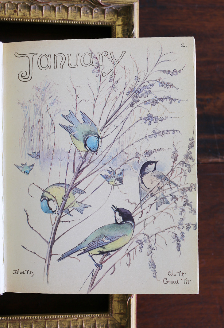 八尾専用店/ 3月中旬入荷/イギリスエディスホールデン国花日記// - 本・絵本 - 紙 ゴールド