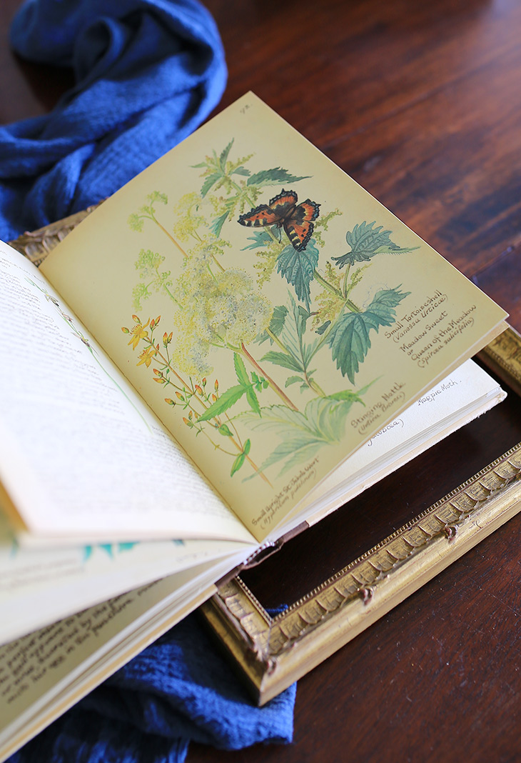八尾専用店/ 3月中旬入荷/イギリスエディスホールデン国花日記// - 本・絵本 - 紙 ゴールド