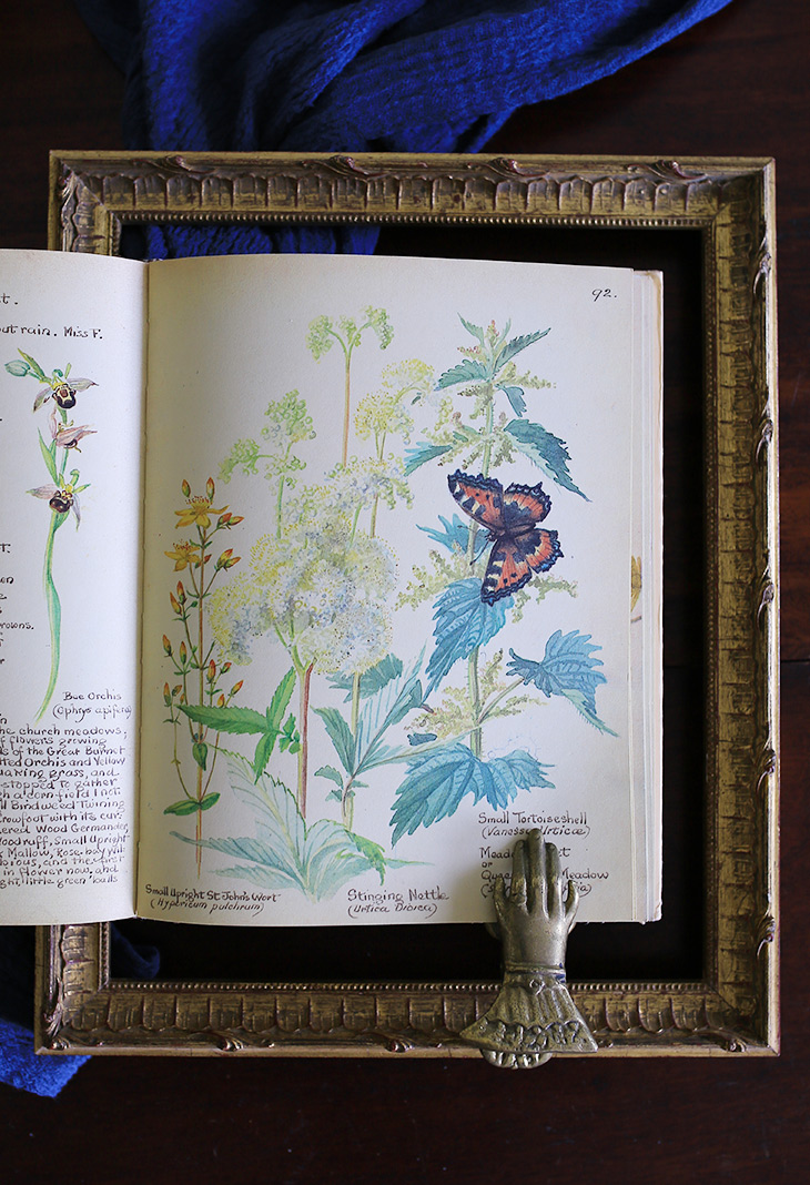 八尾専用店/ 3月中旬入荷/イギリスエディスホールデン国花日記// - 本・絵本 - 紙 ゴールド